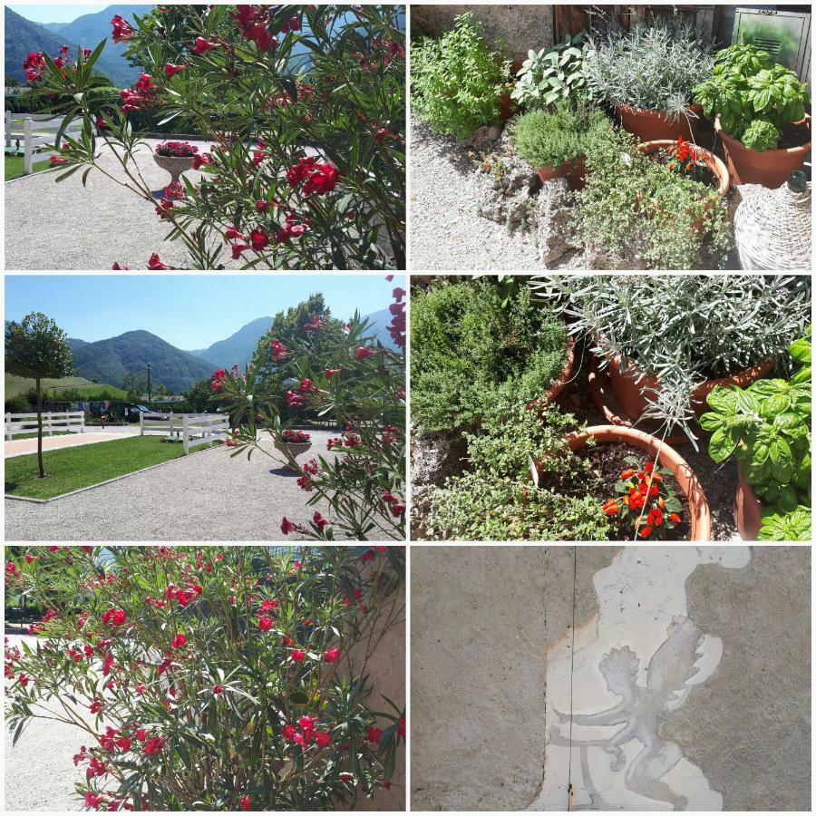 Ledro Lake Suites Mezzolago Zewnętrze zdjęcie