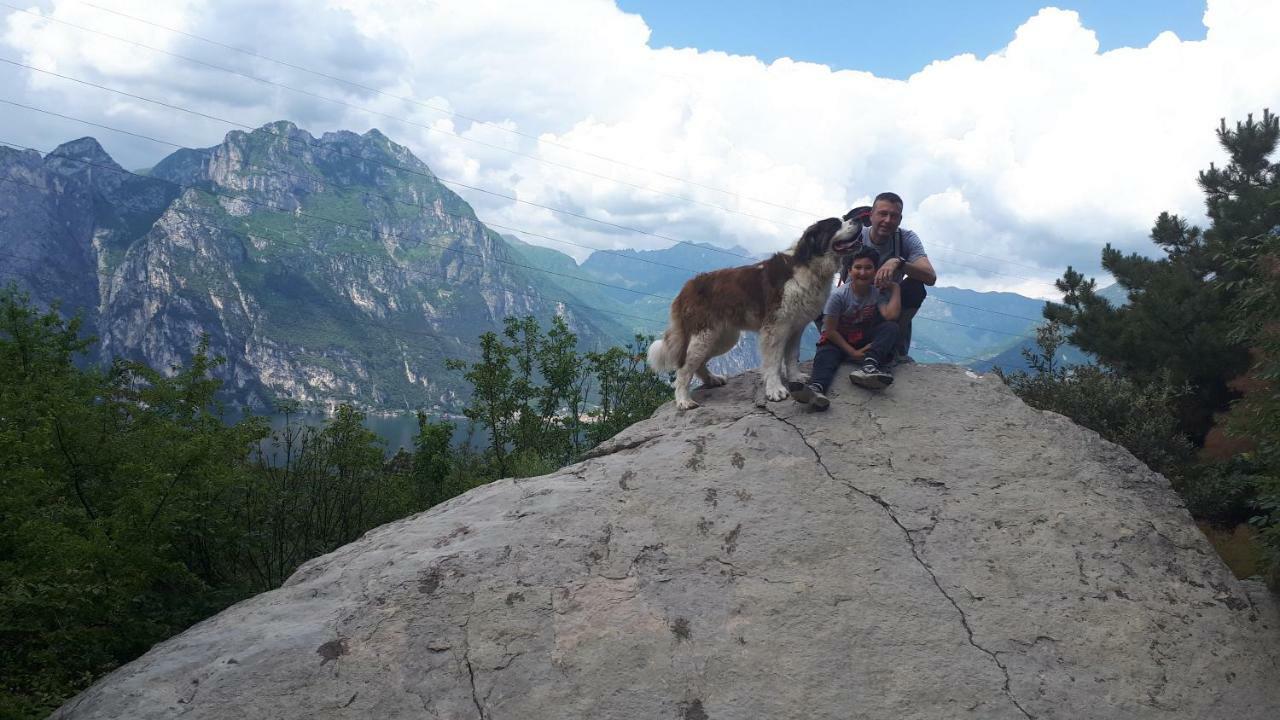 Ledro Lake Suites Mezzolago Zewnętrze zdjęcie